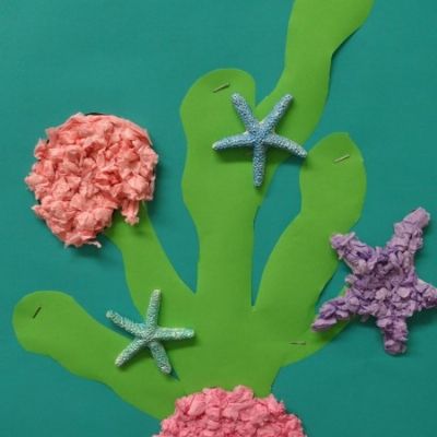 Spring Term Displays (Beech)