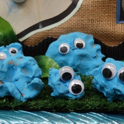 Summer Term Displays