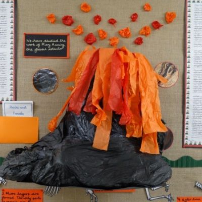 Summer Term Displays (Willow)