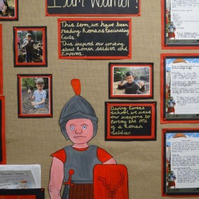 Summer Term Displays (Pine)