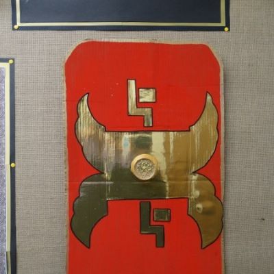 Summer Term Displays (Elm)