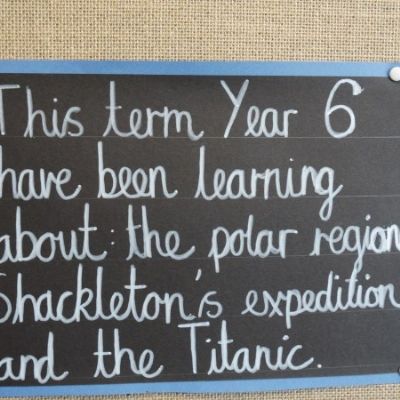 Summer Term Displays