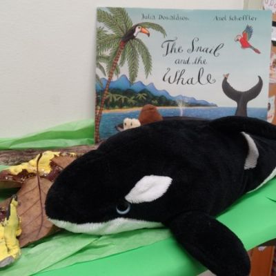 Spring Term Displays